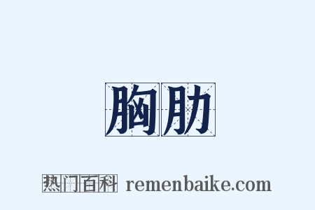 胸肋是什么意思的图片